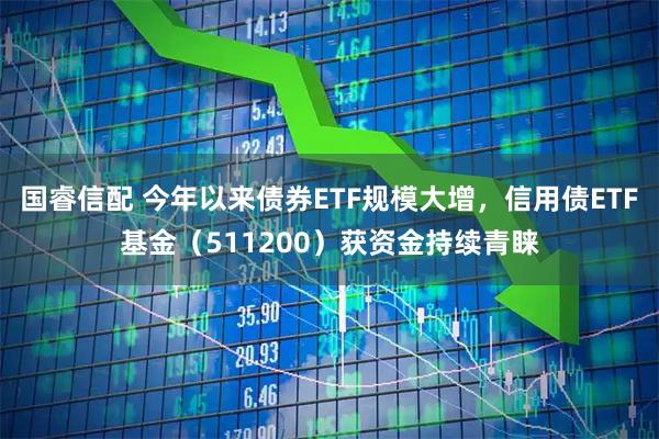 国睿信配 今年以来债券ETF规模大增，信用债ETF基金（511200）获资金持续青睐