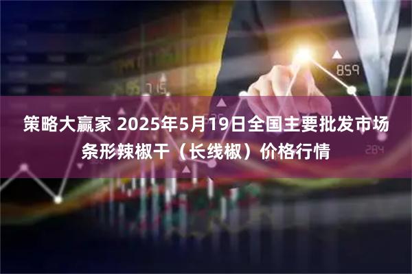 策略大赢家 2025年5月19日全国主要批发市场条形辣椒干（长线椒）价格行情