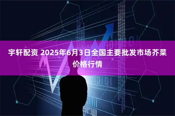 宇轩配资 2025年6月3日全国主要批发市场芥菜价格行情