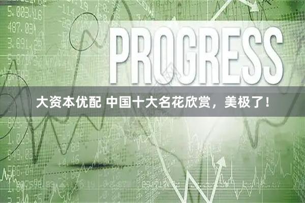 大资本优配 中国十大名花欣赏，美极了！