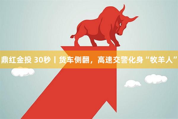 鼎红金投 30秒丨货车侧翻，高速交警化身“牧羊人”