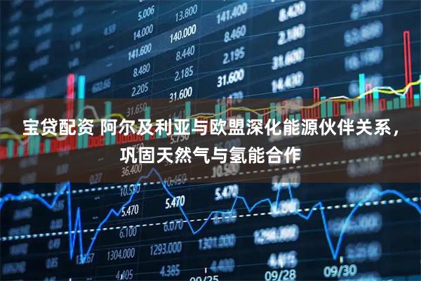 宝贷配资 阿尔及利亚与欧盟深化能源伙伴关系，巩固天然气与氢能合作
