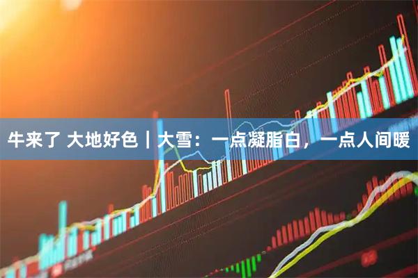 牛来了 大地好色｜大雪：一点凝脂白，一点人间暖