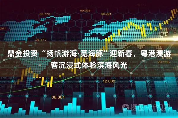 鼎金投资 “扬帆游海·觅海豚”迎新春，粤港澳游客沉浸式体验滨海风光
