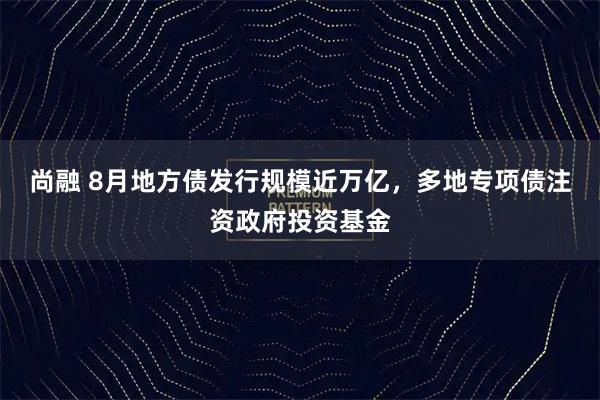 尚融 8月地方债发行规模近万亿，多地专项债注资政府投资基金